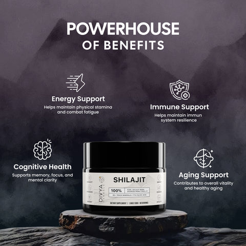 100% Pure Shilajit Resin